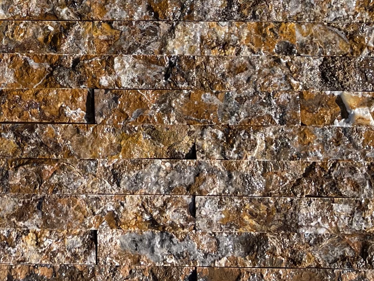 FullSizeRender(3)